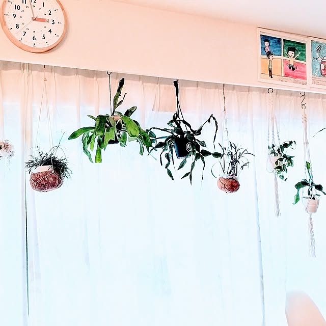 hiromimiさんの部屋