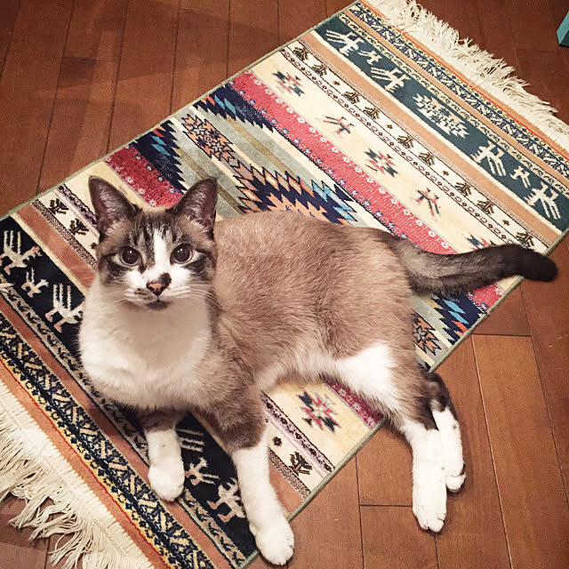 bowbowcoさんの実例写真