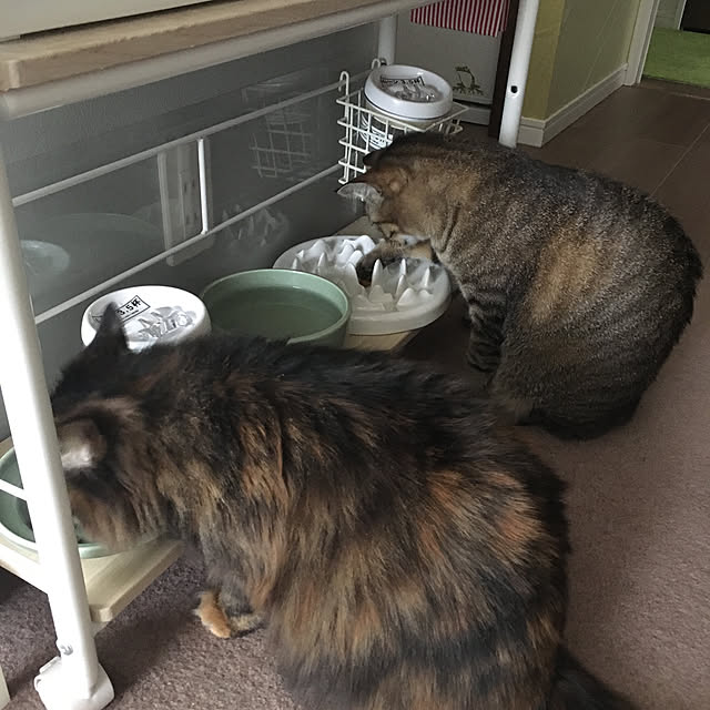 mikomaruさんの実例写真
