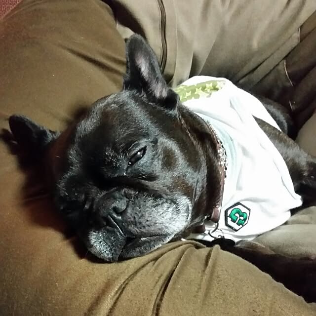 rubunimuchuさんの実例写真