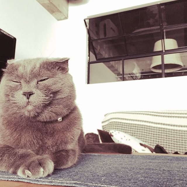 torinokoさんの実例写真