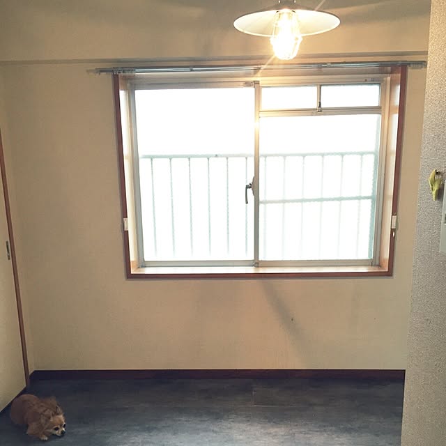 wamiki634さんの実例写真
