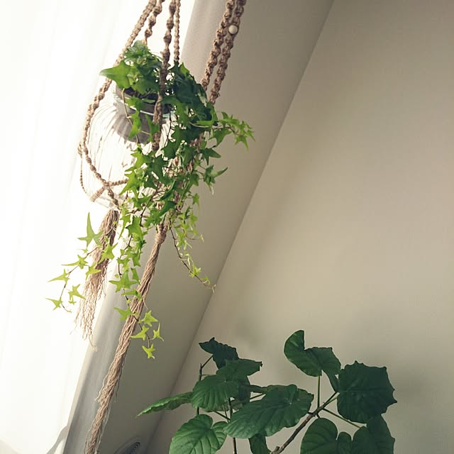 aakkiirraaさんの実例写真