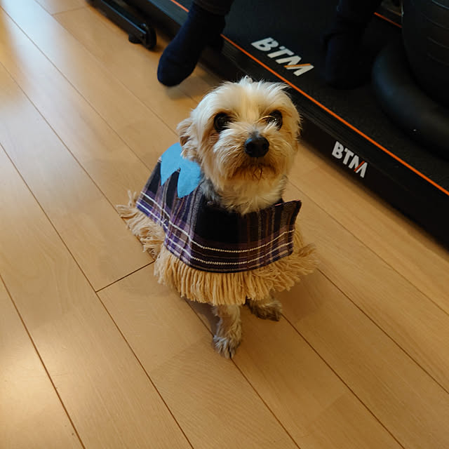 321さんの実例写真