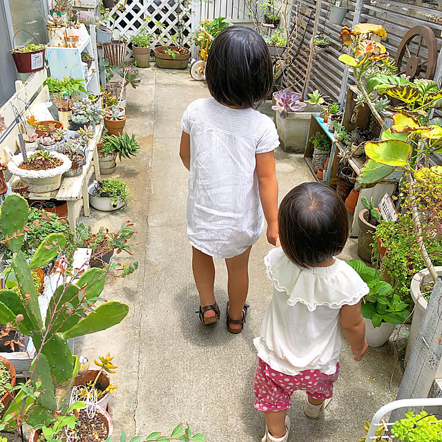 coraruさんの実例写真