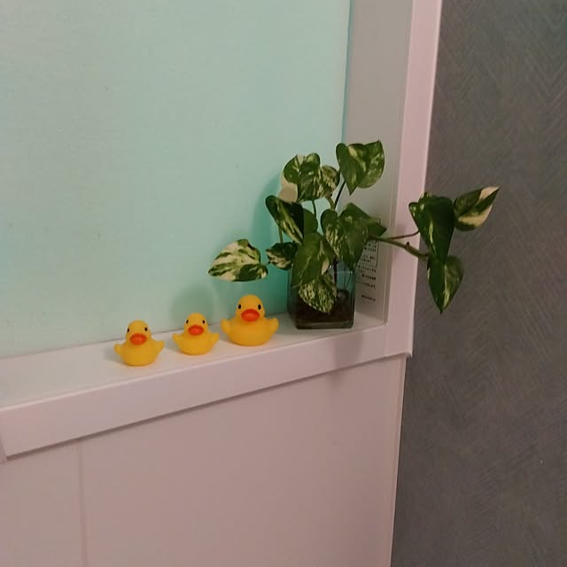 chuさんの部屋
