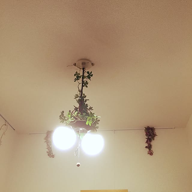 mayu.さんの実例写真