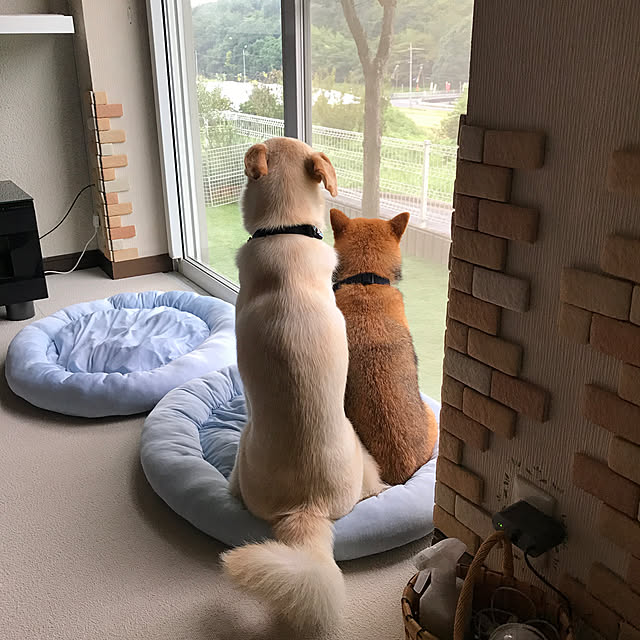 mtkさんの実例写真