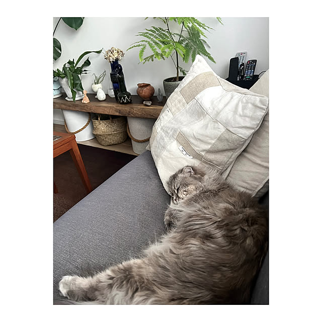 gfさんの部屋
