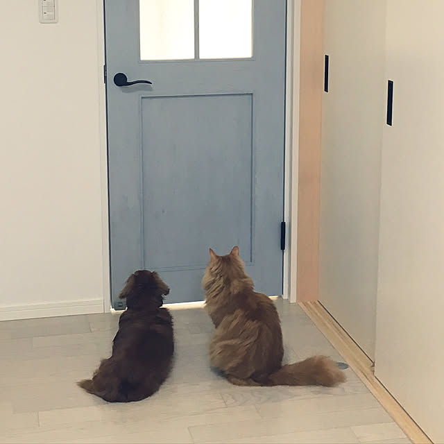 nucomizuさんの実例写真