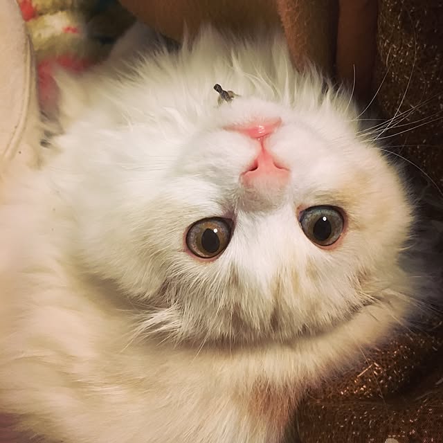 luna.comさんの実例写真