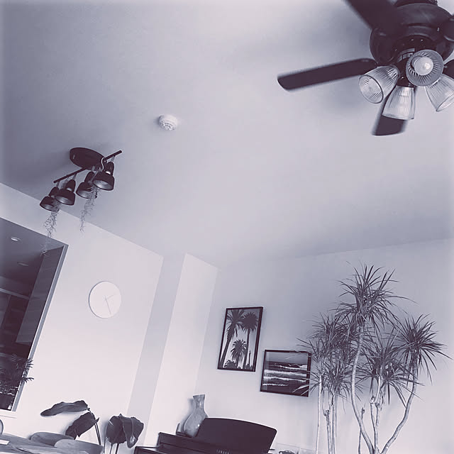 Hideさんの実例写真