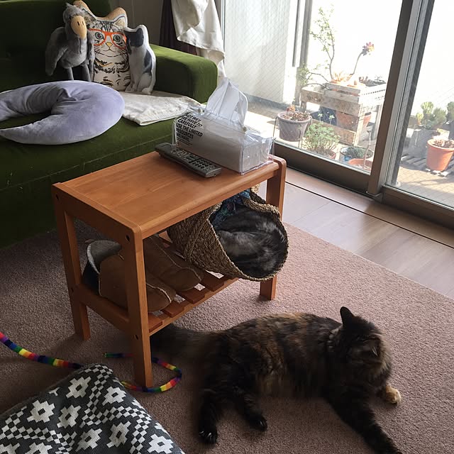 mikomaruさんの実例写真