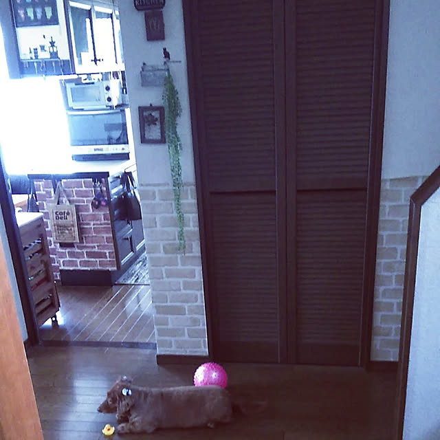 satoさんの実例写真