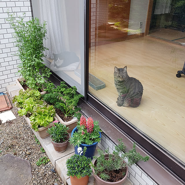 Mayumi8888さんの実例写真