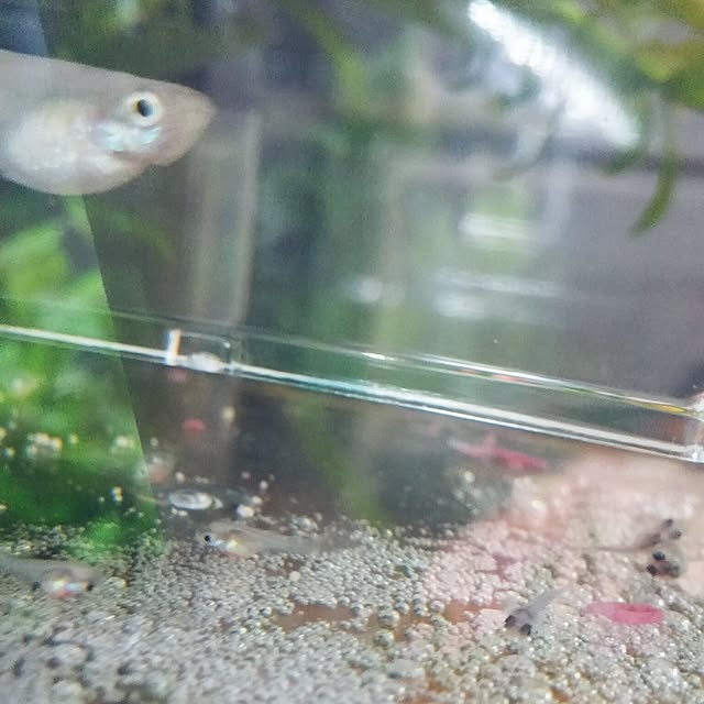 Mioさんの実例写真