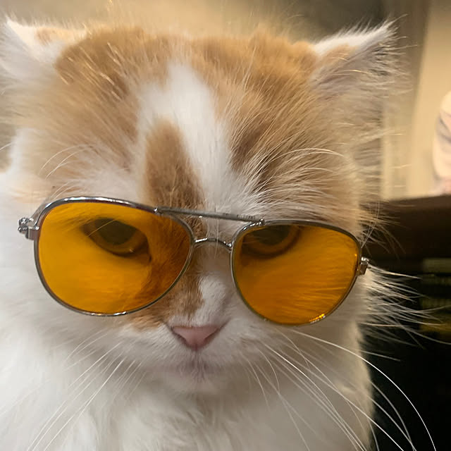 keiさんの実例写真