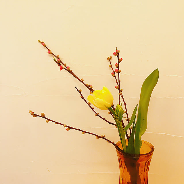 花のある暮らし/玄関/入り口のインテリア実例 - 2021-02-27 08:51:32
