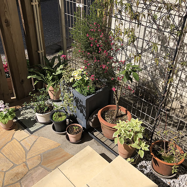 zukkoさんの部屋