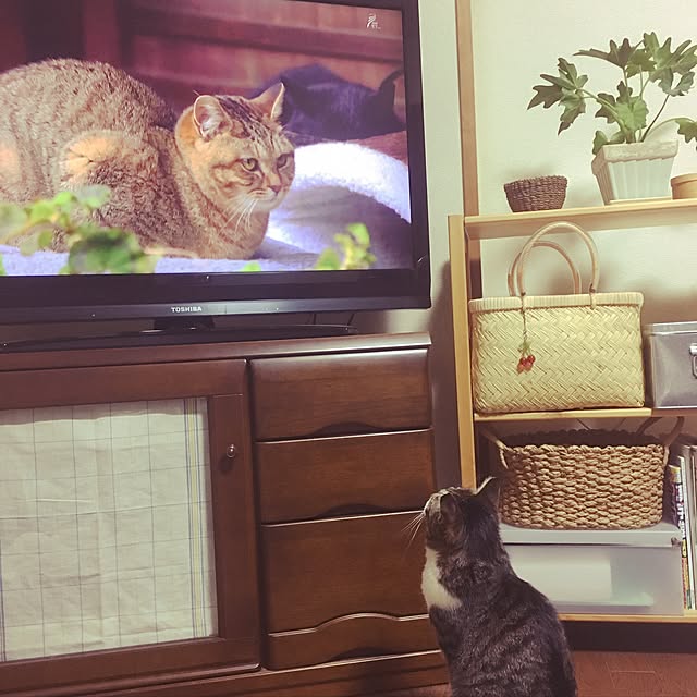 Yさんの実例写真