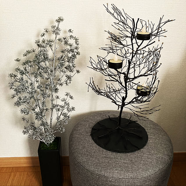 tさんの実例写真