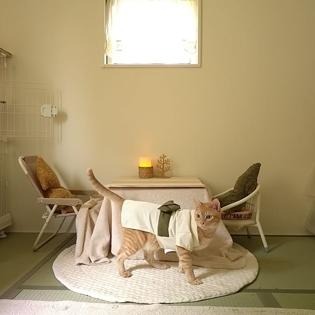 mayutan.さんの部屋