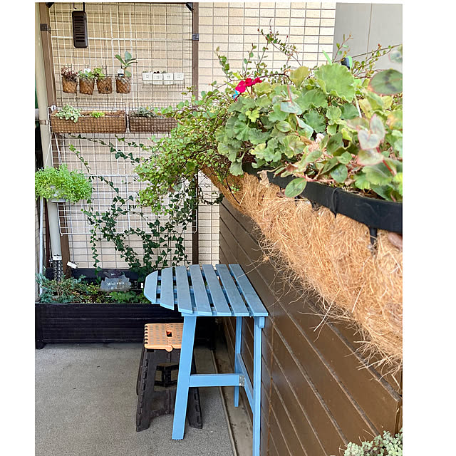 marukoさんの部屋