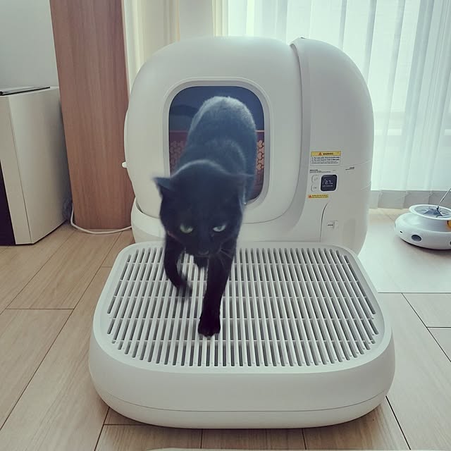 sakuraさんの部屋