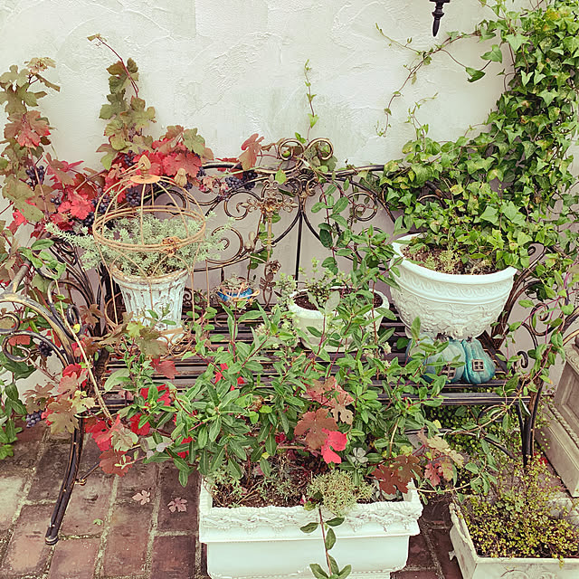 AYUKOさんの実例写真