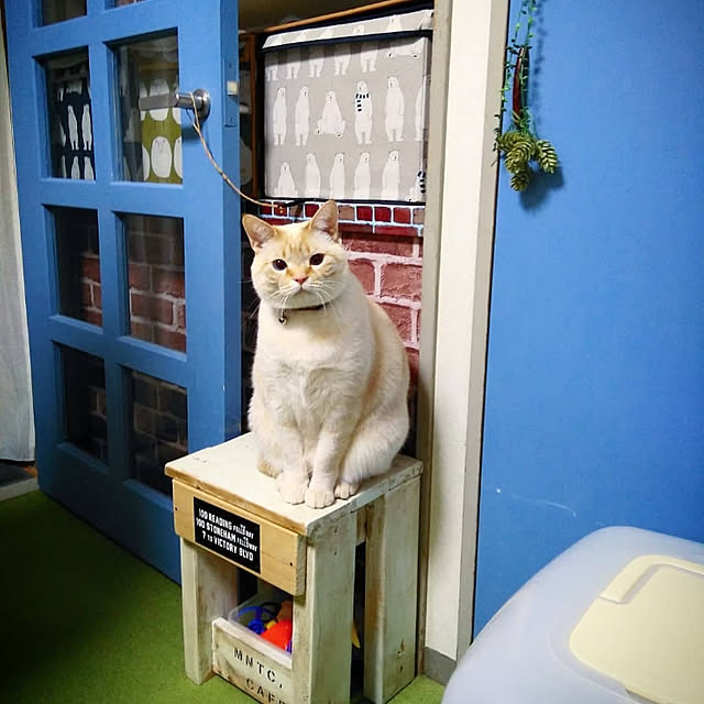 mntcさんの実例写真