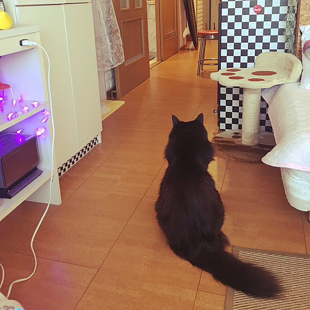 kanaさんの実例写真