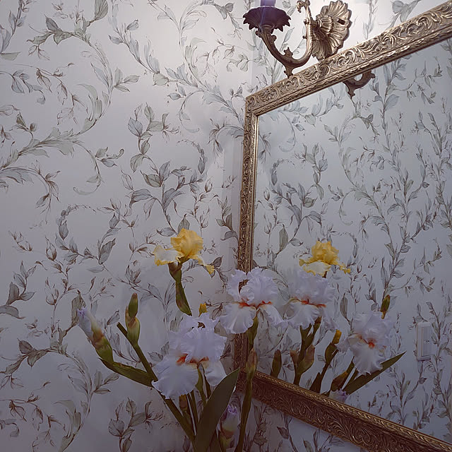 machikomamaさんの実例写真