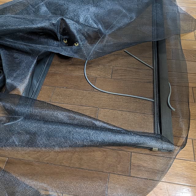 asaさんの実例写真