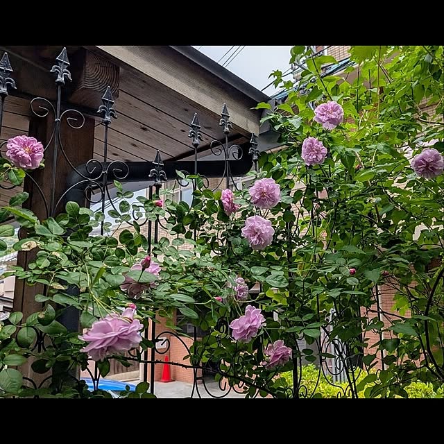 aromameさんの部屋