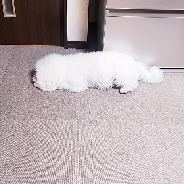 takoさんの実例写真