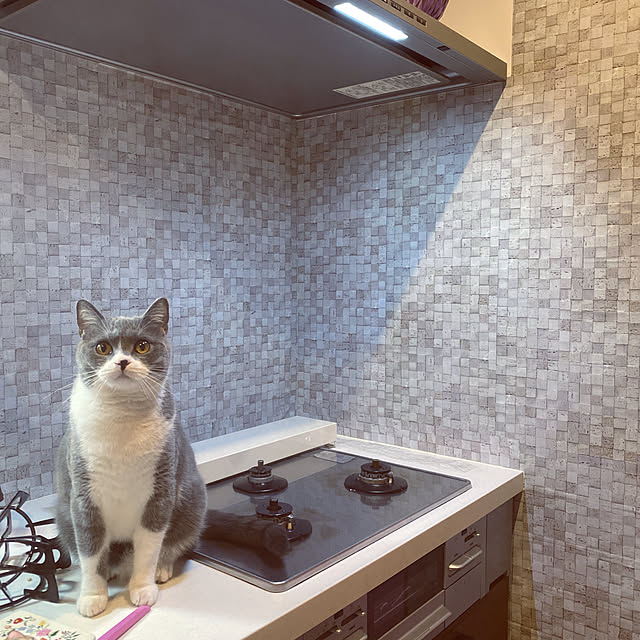 poniさんの実例写真