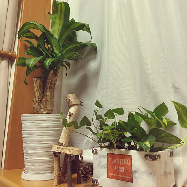 r.y.aさんの実例写真