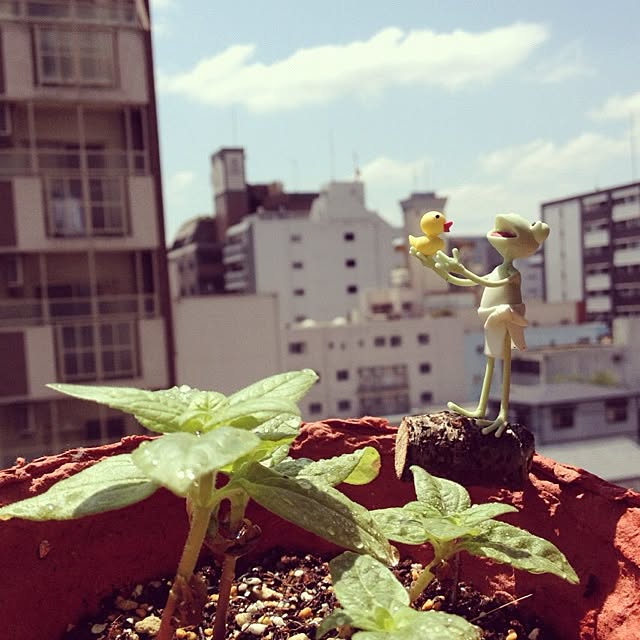 yu_minさんの実例写真