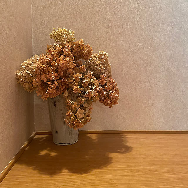 kuikoさんの部屋