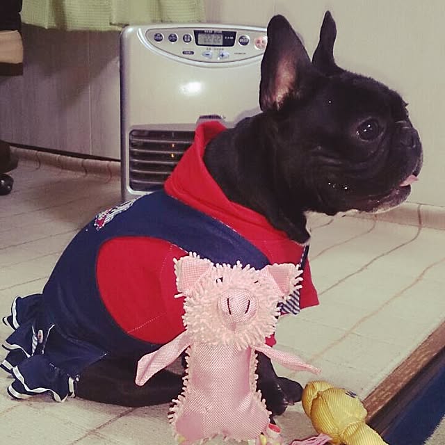 sumoさんの実例写真