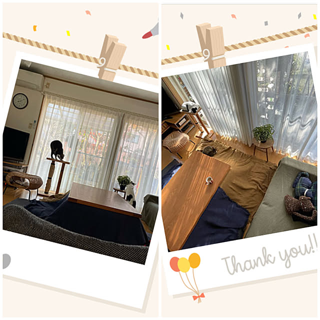 nobikoさんの実例写真