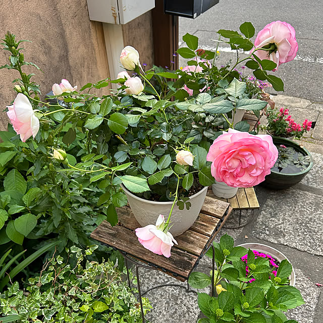 fumikoiさんの部屋