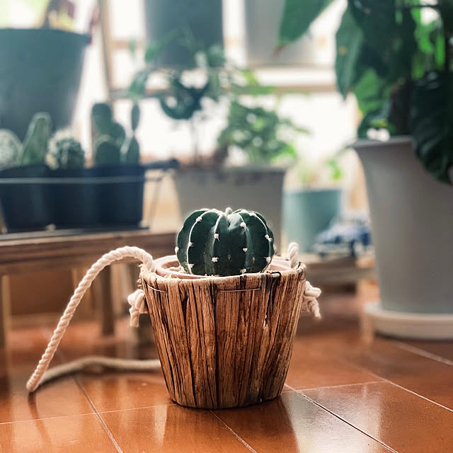 monさんの実例写真