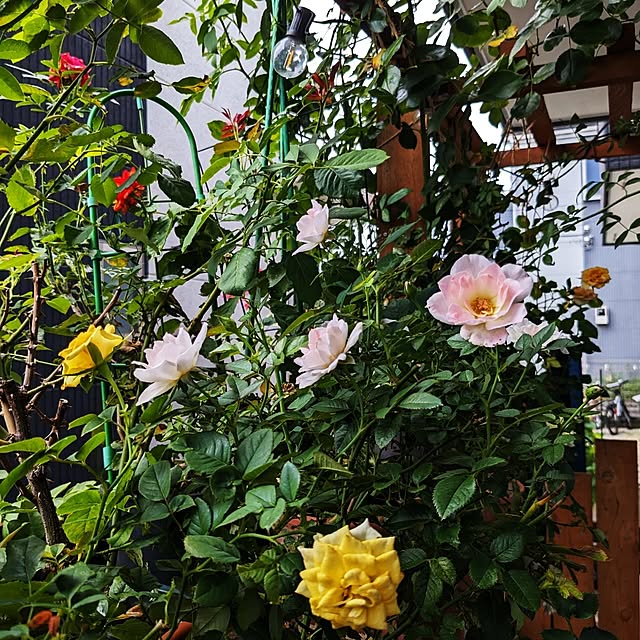 kazuさんの部屋