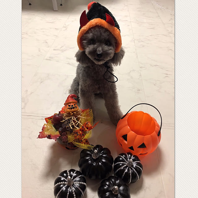 kaoさんの実例写真