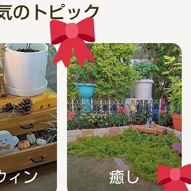 Miyumamaさんの実例写真