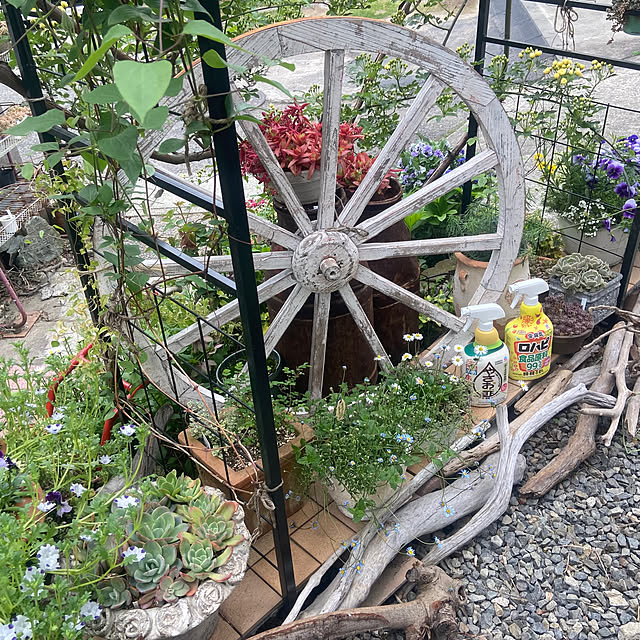 na-chanさんの実例写真