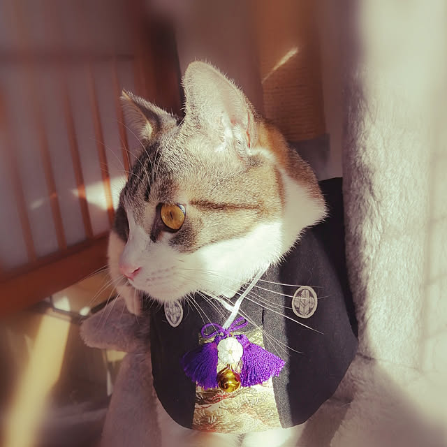 teruminさんの実例写真