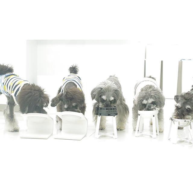 to2113toさんの実例写真
