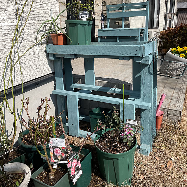 natsumiさんの実例写真